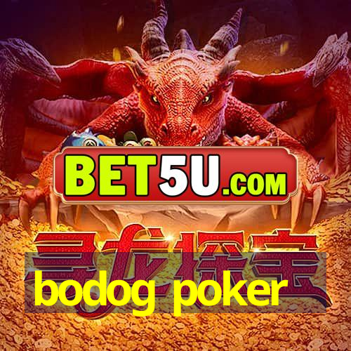 bodog poker